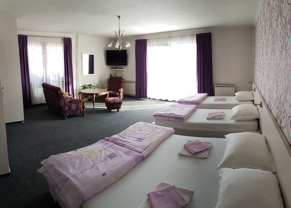 Guest House Ciro サラエヴォ エクステリア 写真